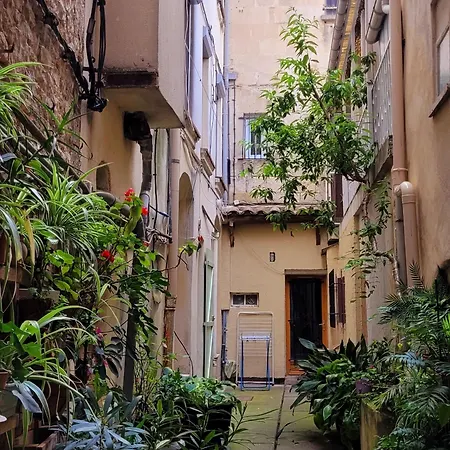 Sauna Hammam Terrasse Hyper Centre Apartment Nimes